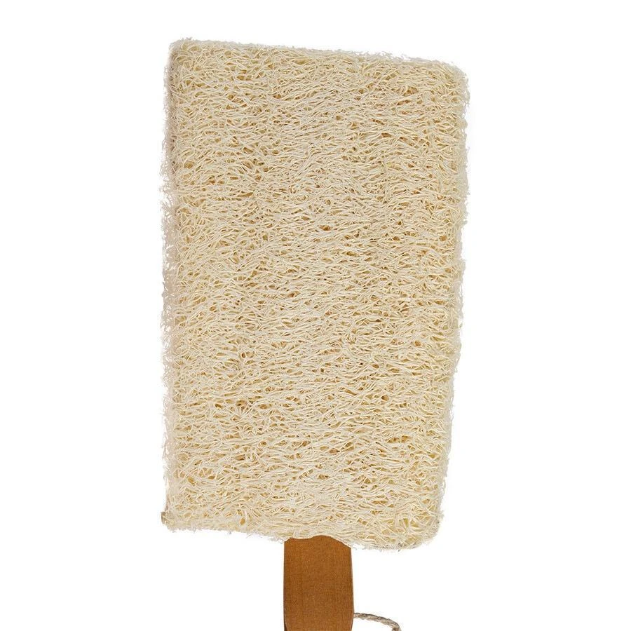 Loofah Sponge Brush 1 Loofah Sponge Brush